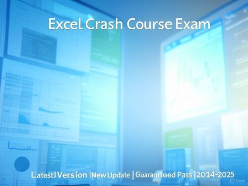 Excel Crash Course Exam 2024-2025