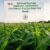 National Pesticide Applicator Certification Exam