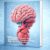 2025 HESI exam