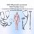 2025 HESI Physical Assessment Exam
