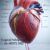 2025 HESI Comprehensive Exam