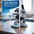 2025 BIOD-152 Final Exam