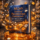 NR 565 Advanced Pharmacology Fundamentals Comprehensive Midterm Exam Preparation 2026/2027 | Study Guide